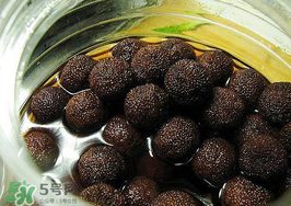 泡楊梅酒楊梅要洗嗎？泡楊梅酒楊梅要不要洗？