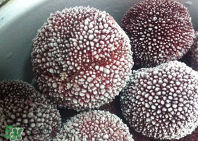 楊梅在冷凍室能放多久？楊梅冰凍后還能吃嗎？