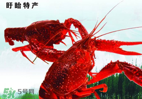 2017盱眙龍蝦節(jié)有哪些明星？2017盱眙龍蝦節(jié)明星