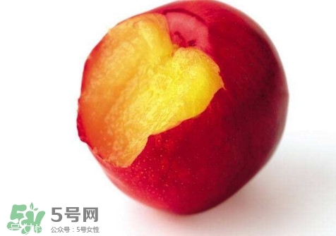 桃駁李是轉(zhuǎn)基因嗎？桃駁李是不是轉(zhuǎn)基因