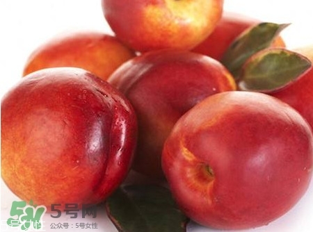 桃駁李孕婦可以吃嗎？孕婦能吃桃駁李嗎？