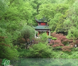 7月份去長(zhǎng)沙穿什么？七月份去長(zhǎng)沙穿什么衣服