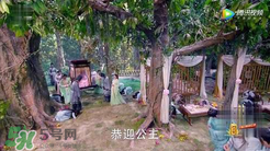 諜紙?zhí)煅酆屯鸂I有什么關(guān)系？