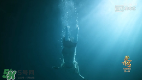 諜紙?zhí)煅酆屯鸂I有什么關(guān)系？