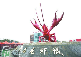 2017潛江龍蝦節(jié)門票多少錢？2017潛江龍蝦節(jié)門票