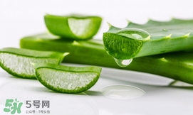 蘆薈面膜要敷多久？蘆薈面膜多久敷一次