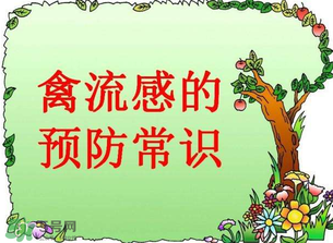 6月有禽流感嗎？2017年6月有禽流感嗎？
