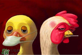 6月有禽流感嗎？2017年6月有禽流感嗎？