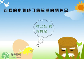 6月有禽流感嗎？2017年6月有禽流感嗎？