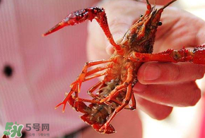 2017盱眙龍蝦節(jié)幾天？從什么時(shí)候開始到什么時(shí)候結(jié)束？