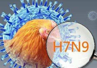 6月有禽流感嗎？2017年6月有禽流感嗎？