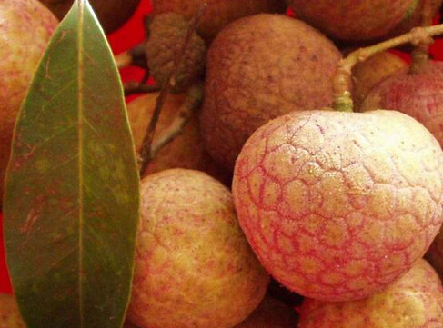 黑葉荔枝好吃嗎？黑葉荔枝多少錢一斤2017？