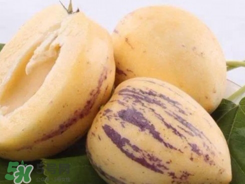 人參果怎么長成人形？人參果為什么長得像人