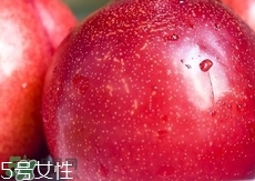 桃駁李是轉(zhuǎn)基因嗎？桃駁李是不是轉(zhuǎn)基因