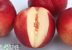 桃駁李是油桃嗎？桃駁李和油桃的區(qū)別