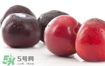 紅布林和黑布林哪個好？紅布林與黑布林的區(qū)別