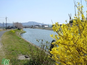 7月份去日本穿什么？七月份去日本穿什么衣服