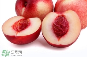 桃駁李是油桃嗎？桃駁李和油桃的區(qū)別