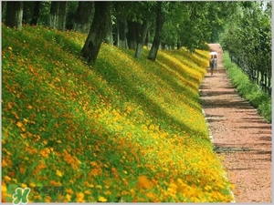 7月份去浙江穿什么？七月份去浙江穿衣搭配