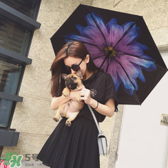 蕉下太陽(yáng)傘怎么樣？蕉下小黑傘防曬效果好嗎？