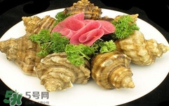 海螺是蒸還是煮？海螺的尾部是黃還是屎