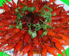 潛江小龍蝦有什么特色？潛江龍蝦節(jié)是每年什么時(shí)候？ 