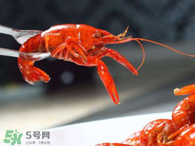 潛江小龍蝦有什么特色？潛江龍蝦節(jié)是每年什么時(shí)候？ 