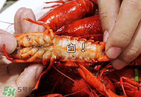 潛江小龍蝦和盱眙小龍蝦哪個有名？哪個好吃？