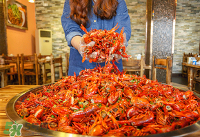 潛江小龍蝦和盱眙小龍蝦哪個有名？哪個好吃？