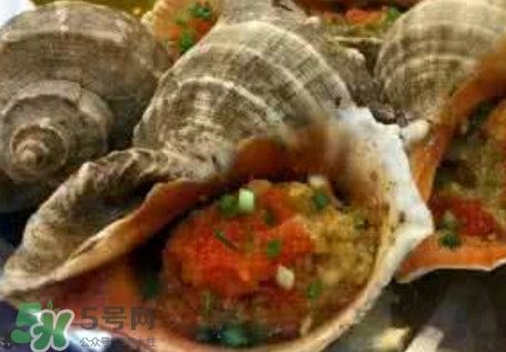 死海螺能吃嗎？死海螺可以吃嗎