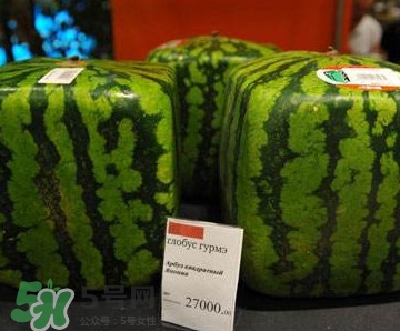 方形西瓜哪里有賣的？哪里可以買到方形西瓜