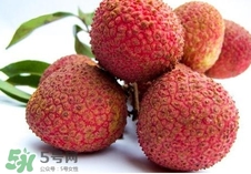 黑葉荔枝和妃子笑哪個(gè)好吃？黑葉荔枝和妃子笑的區(qū)別