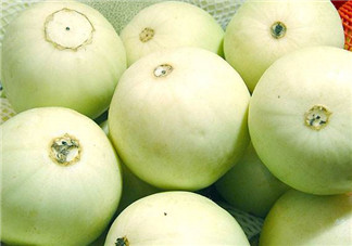 甜瓜怎么挑？甜瓜挑選方法