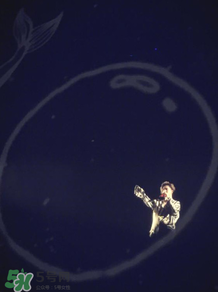 高鑫磊是誰？高磊鑫個人資料