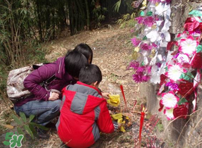 2017父親節(jié)可以上墳嗎？父親節(jié)能給父親上墳嗎？