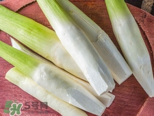 篙芭是什么菜?篙芭長(zhǎng)什么樣子? 篙芭是什么菜?篙芭長(zhǎng)什么樣子?