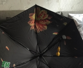 蕉下小黑傘能遮雨嗎？蕉下太陽(yáng)傘能淋雨嗎？