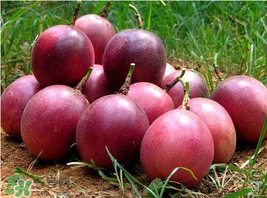 百香果好吃嗎？百香果什么味道？