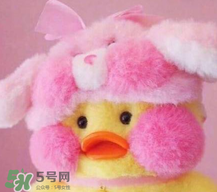 cafemimi玻尿酸鴨哪里有？cafemimi玻尿酸鴨怎么買？