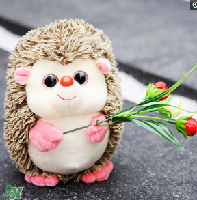 cafemimi玻尿酸鴨哪里有？cafemimi玻尿酸鴨怎么買？