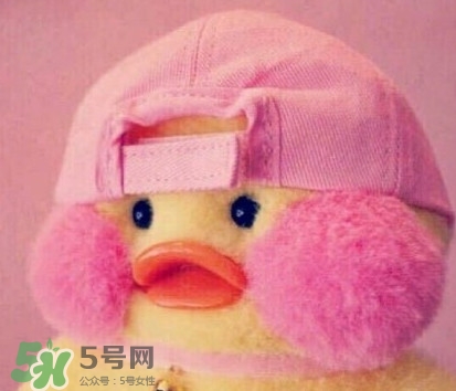 玻尿酸鴨是什么？cafemimi玻尿酸鴨為什么這么火