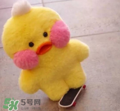 玻尿酸鴨哪里可以買(mǎi)到？一個(gè)玻尿酸鴨多少錢(qián)？