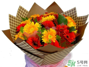 父親節(jié)可以送花嗎？父親節(jié)送什么花最合適？