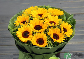 父親節(jié)可以送花嗎？父親節(jié)送什么花最合適？