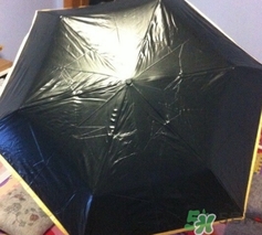 黑檸檬小黑傘好嗎？黑檸檬太陽傘怎么樣？