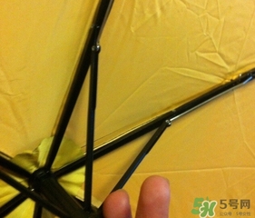 黑檸檬小黑傘好嗎？黑檸檬太陽傘怎么樣？