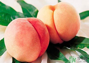 水蜜桃不能和什么一起吃？水蜜桃和什么不能一起吃？