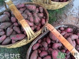 紅土豆是轉(zhuǎn)基因的嗎？紅土豆和正常土豆的區(qū)別