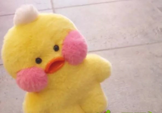 玻尿酸鴨是誰做的？玻尿酸鴨哪里可以下載