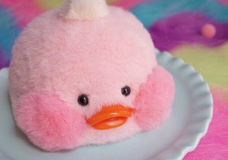 玻尿酸鴨哪里可以買到？一個玻尿酸鴨多少錢？